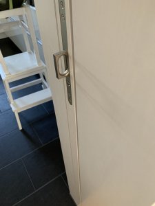IMG_5357.jpeg