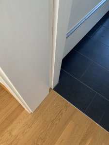 IMG_5358.jpeg