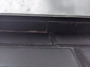 MVIMG_20210816_120914.jpg