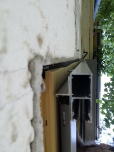IMG_20210817_080507.jpg