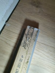 20210820_182143.jpg