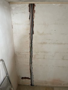 IMG_9473.jpeg