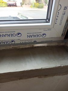 IMG_20210826_124812.jpg