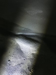 02D58C77-F540-4142-A353-F176A4C417C1.jpeg