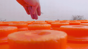 out3.gif