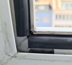 Fenster 1.jpg