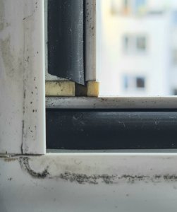 Fenster 2.jpg