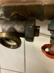 WhatsApp Image 2021-09-05 at 09.05.19.jpeg