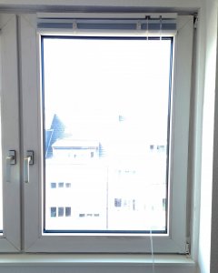 Fenster 3.jpg