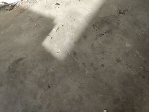 IMG_20210907_175320_1.jpg