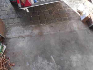 IMG_20210907_175327.jpg
