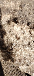 IMG_20210908_172118.jpg