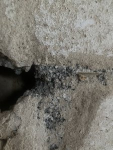 C0692353-3FF1-43B5-8EFB-2FF326701AC9.jpeg