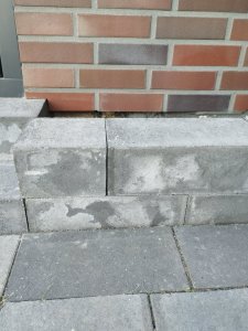IMG_20210907_155301.jpg
