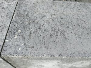 IMG_20210907_155327.jpg