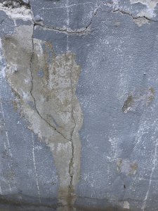 DC5EF608-6CF7-41B6-A8A7-D97DDBE84104.jpeg
