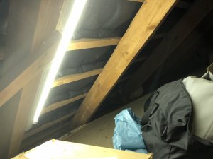 IMG_5114.jpg