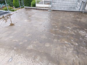 2021-10-03 10.00.10.jpg