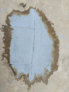 2021-10-03 10.04.01.jpg