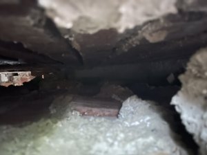 C3771272-3F45-4E48-8296-CF7DD0FA6C59.jpeg