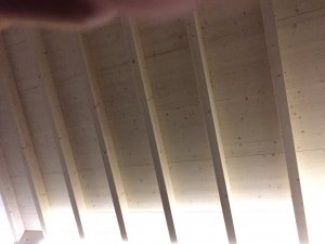 E9A4CA6C-3883-44B8-BE2C-E7CF9027582E.jpeg