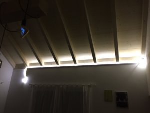 BA437843-EA23-42B7-A32E-C411FBD55488.jpeg