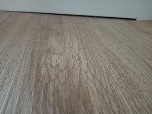 IMG_20211003_180433.jpg