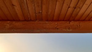 20211016_175755.jpg