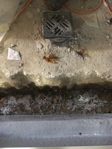 IMG_3205.JPG