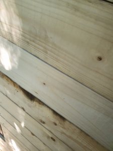 20210608_153106.jpg