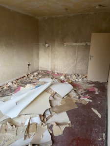 IMG_3453.JPEG