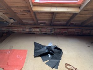 76A4093B-FFF7-4BC0-BCAE-5D693B2CBEED.jpeg
