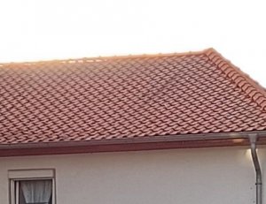 20211026_165407.jpg