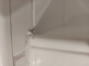 IMG_20211027_191341.jpg
