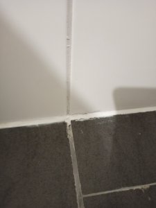 IMG_20211027_191458.jpg