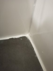 IMG_20211027_191516.jpg