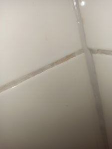 IMG_20211027_193629.jpg