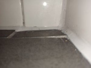IMG_20211027_193356.jpg