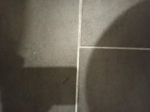 IMG_20211027_193107.jpg