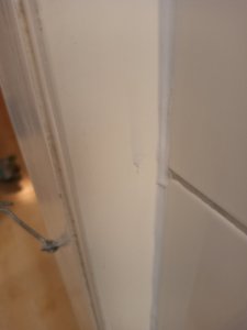 IMG_20211027_192950.jpg