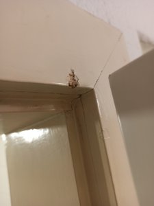 IMG_20211027_192930.jpg