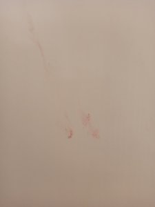 IMG_20211027_192908.jpg