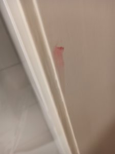 IMG_20211027_192902.jpg