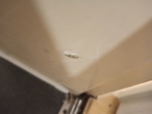 IMG_20211027_192857.jpg