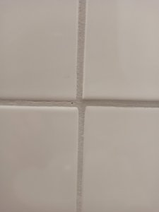 IMG_20211027_192035.jpg