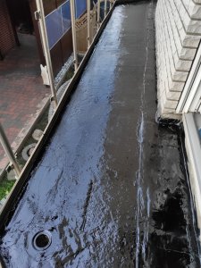 IMG_20211027_180838.jpg