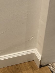 94685262-F29D-4F54-BBD5-CE497EFBB7AB.jpeg