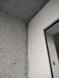 1 Bandseite oben von aussen.jpg