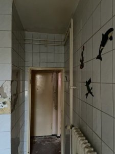 IMG_3479.jpg