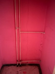 IMG_3476.jpg